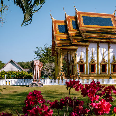 Afbeelding omschrijving