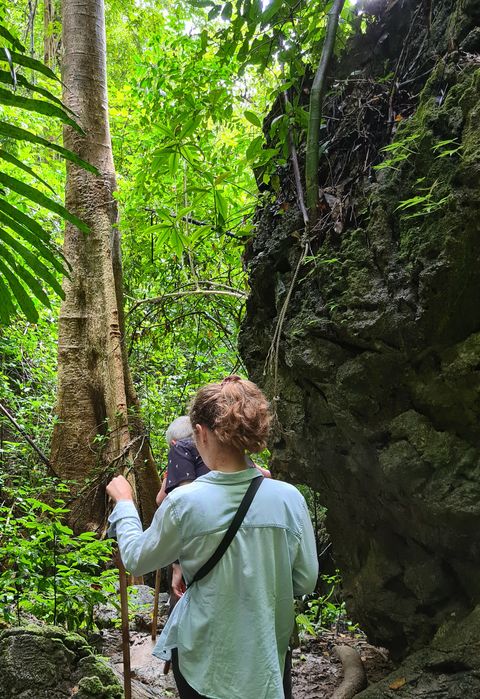 Afbeelding omschrijving