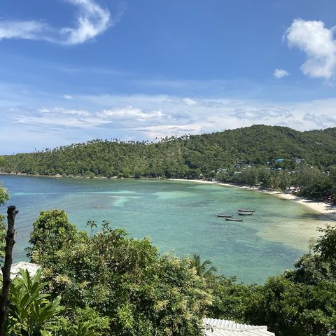 Afbeelding omschrijving