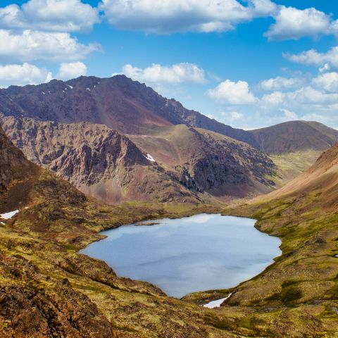 Afbeelding omschrijving