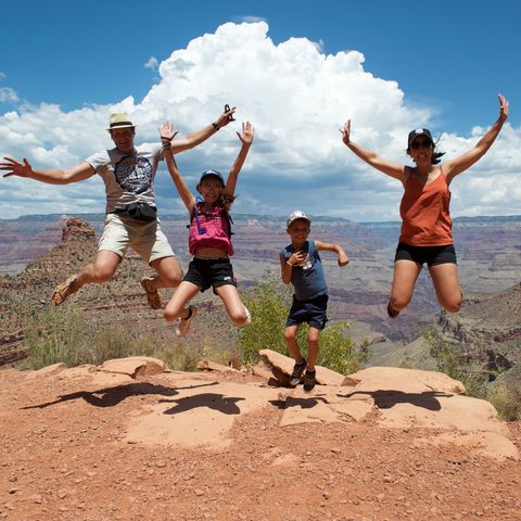 Gezin bij de Grand Canyon in Arizona, Amerika