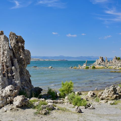 Afbeelding omschrijving