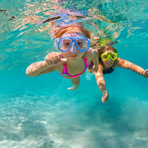 Afbeelding omschrijving