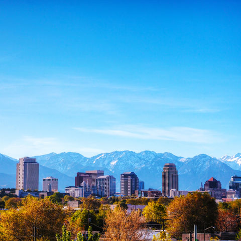 Afbeelding omschrijving