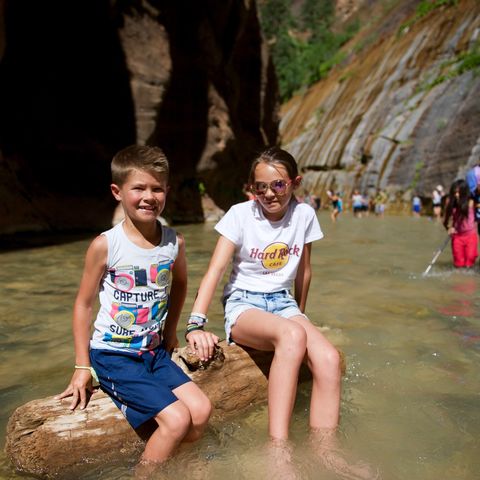 Afbeelding omschrijving