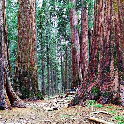 Afbeelding omschrijving
