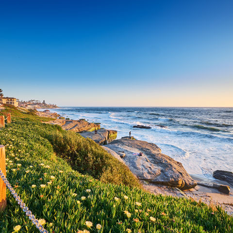 Afbeelding omschrijving