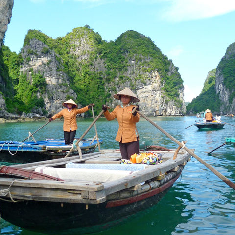 Afbeelding omschrijving