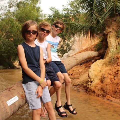 Afbeelding omschrijving