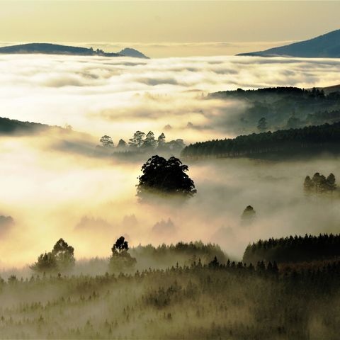 Afbeelding omschrijving