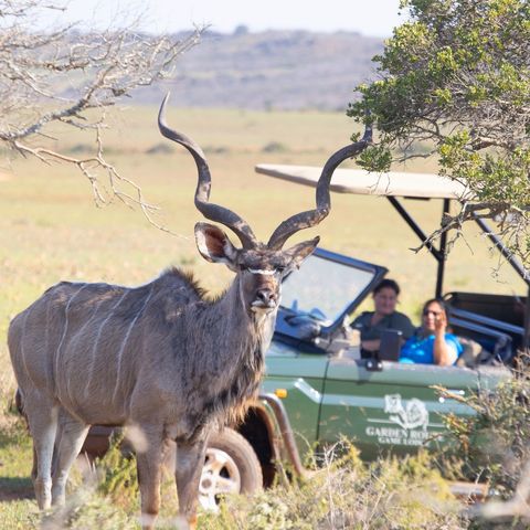 Afbeelding omschrijving