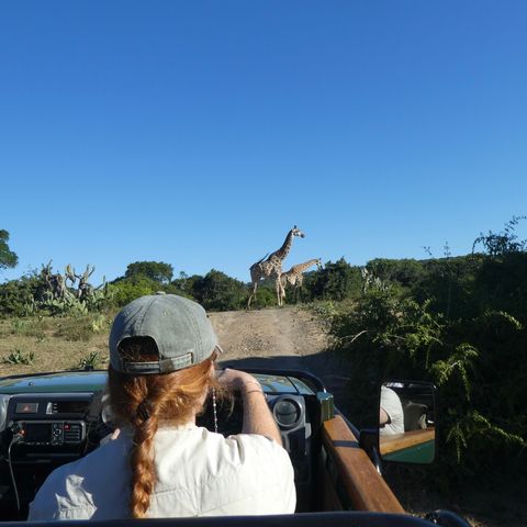 Afbeelding omschrijving