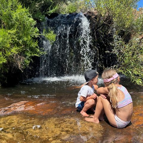 Afbeelding omschrijving