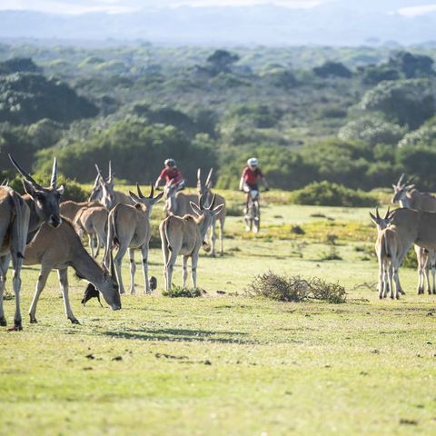 Afbeelding omschrijving