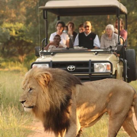 Afbeelding omschrijving