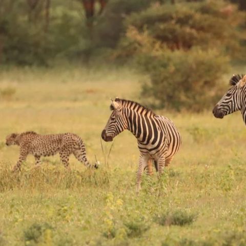 Afbeelding omschrijving
