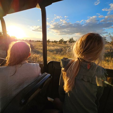 Op safari tijdens zonsondergang in het Krugerpark