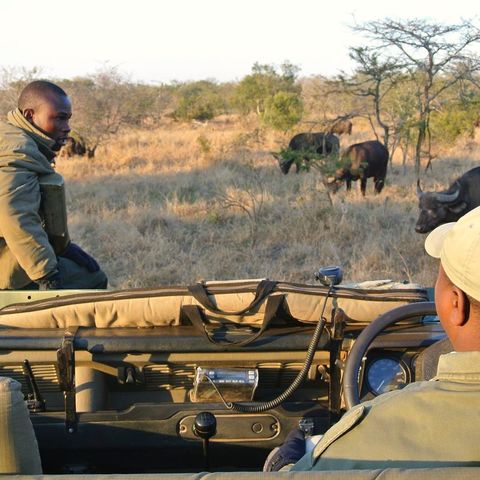 Afbeelding omschrijving