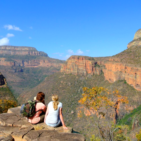 Afbeelding omschrijving