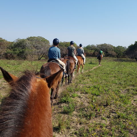 Familiereis Zuid Afrika