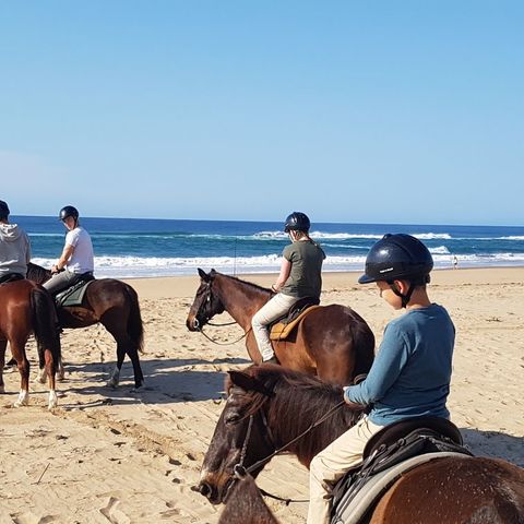Afbeelding omschrijving