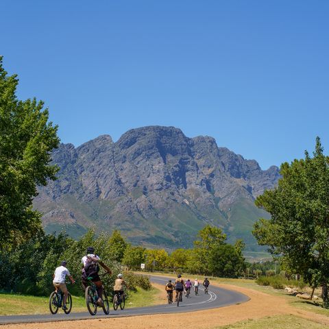 Fietsen in Franschhoek