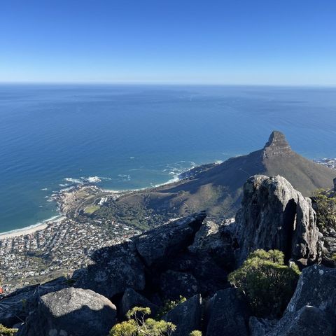 Afbeelding omschrijving