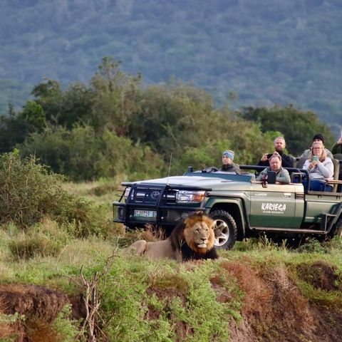 Afbeelding omschrijving