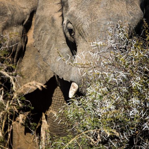 Op safari in Mabula Private Game Lodge