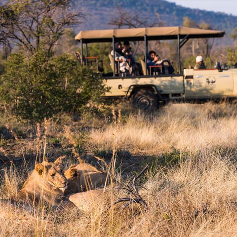 Afbeelding omschrijving