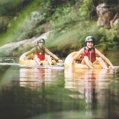 Afbeelding omschrijving