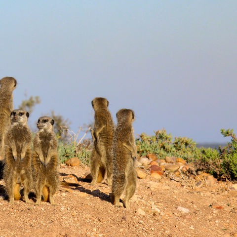 Afbeelding omschrijving