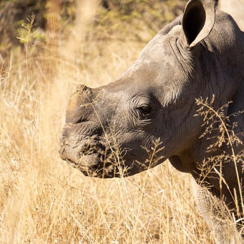 Afbeelding omschrijving