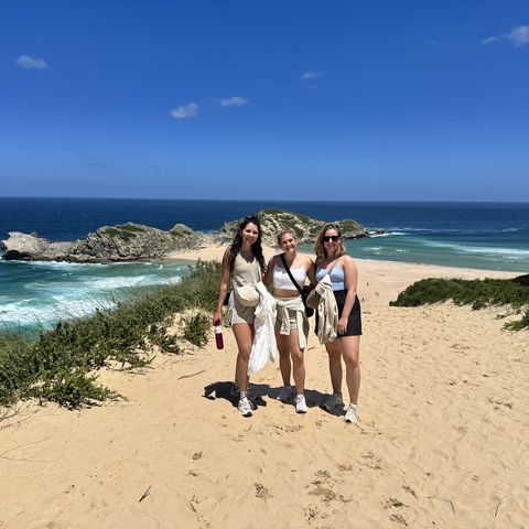 Afbeelding omschrijving