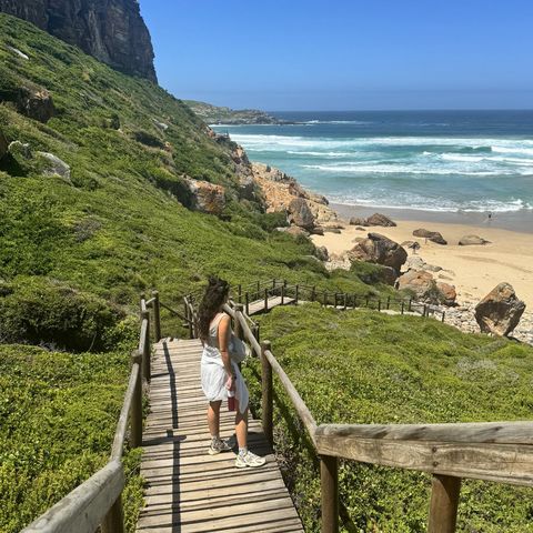 Afbeelding omschrijving