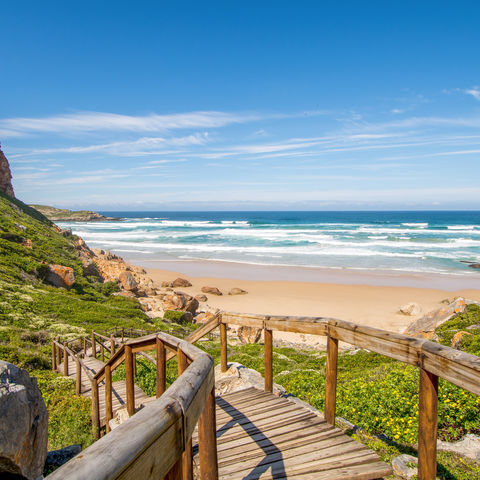 Afbeelding omschrijving