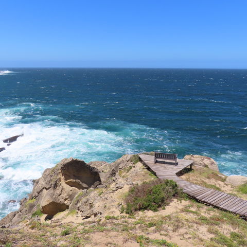 Afbeelding omschrijving