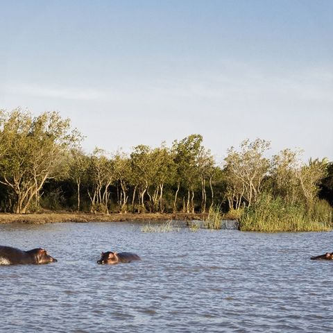 Afbeelding omschrijving