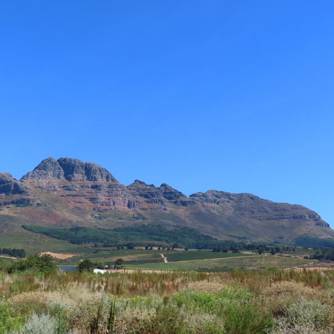 Afbeelding omschrijving