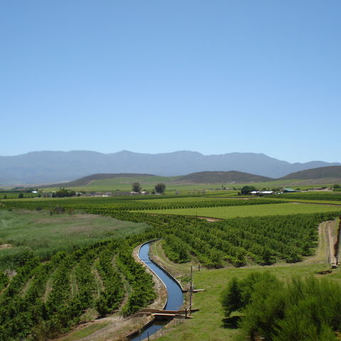 Afbeelding omschrijving