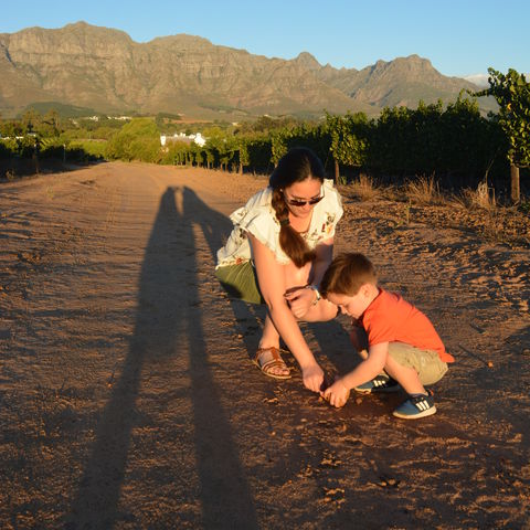 Afbeelding omschrijving