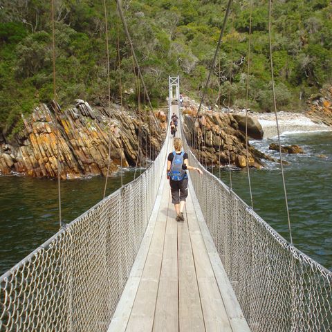 Afbeelding omschrijving