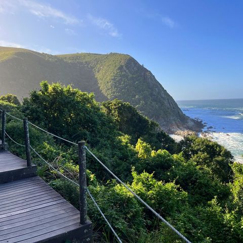 Afbeelding omschrijving