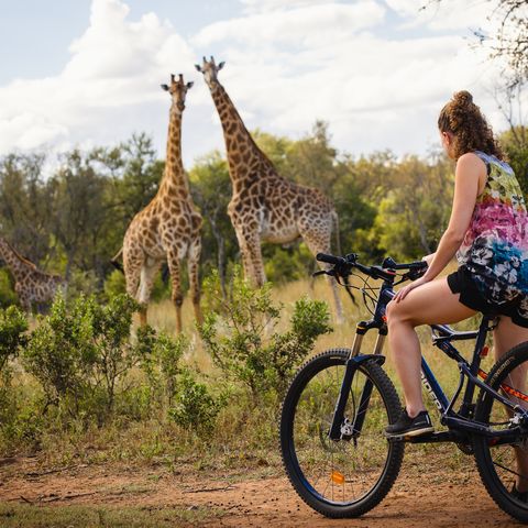 Afbeelding omschrijving
