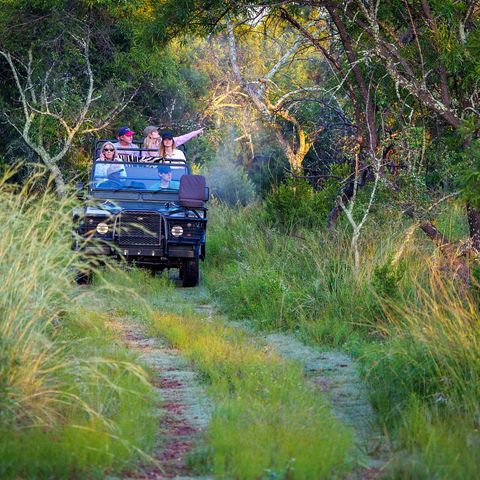 Afbeelding omschrijving