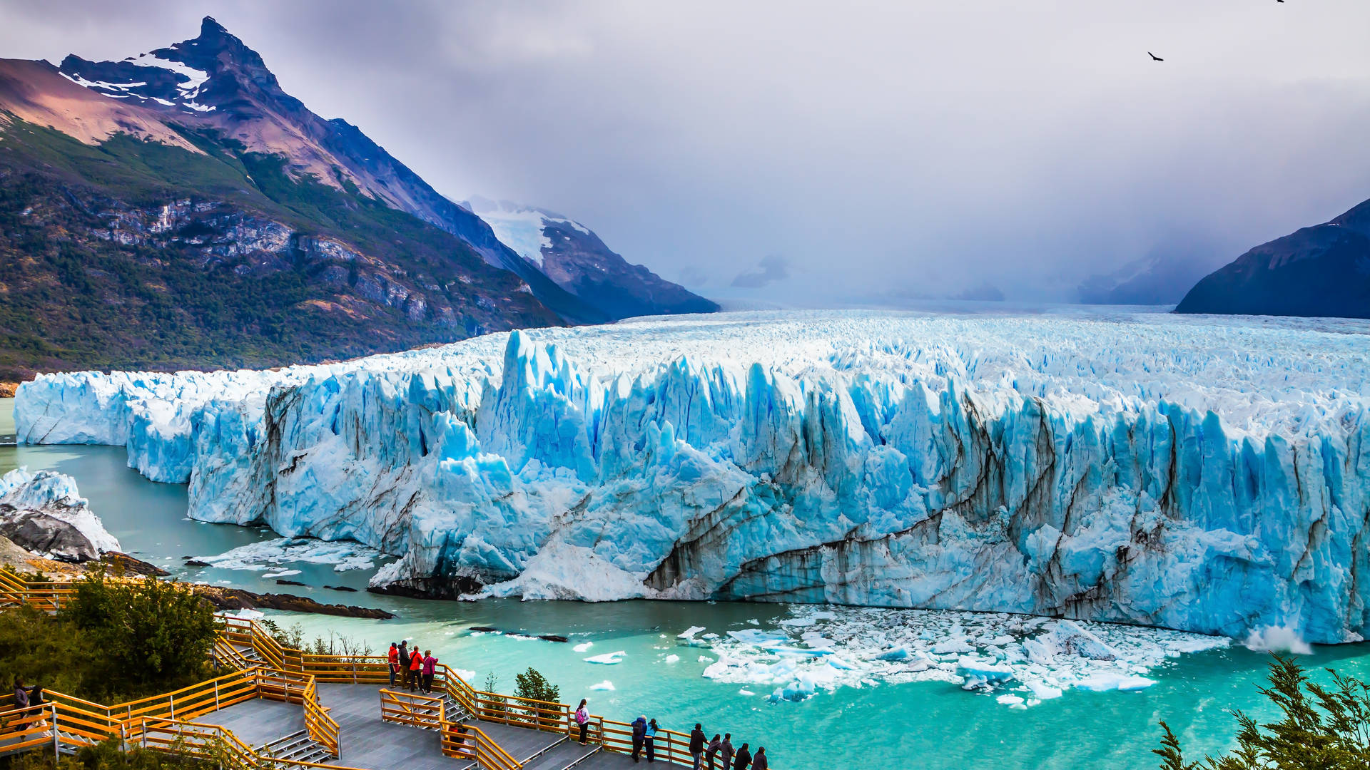 Perito Moreno gletsjer Patagonië