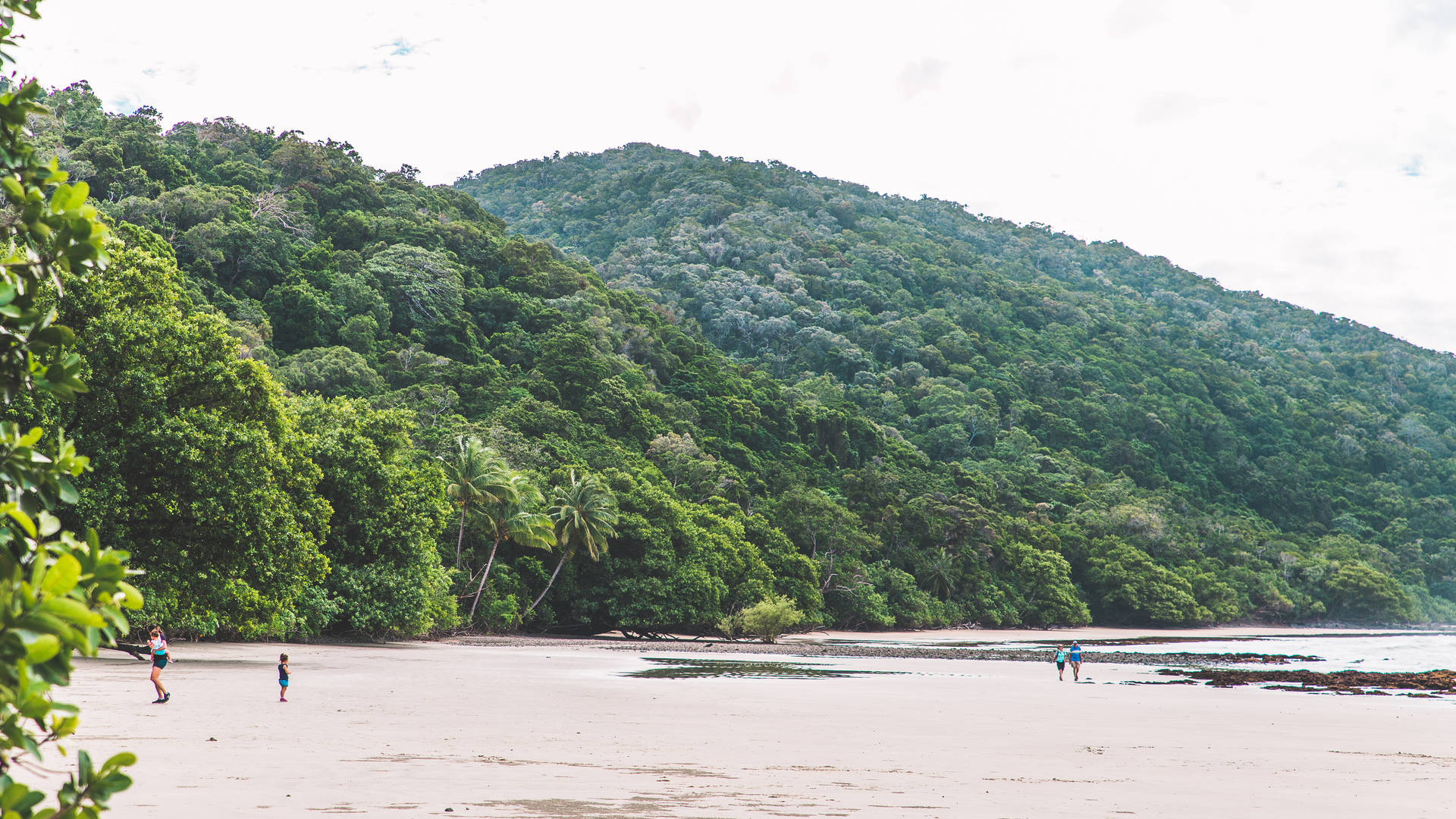 Cape Tribulation, Queensland