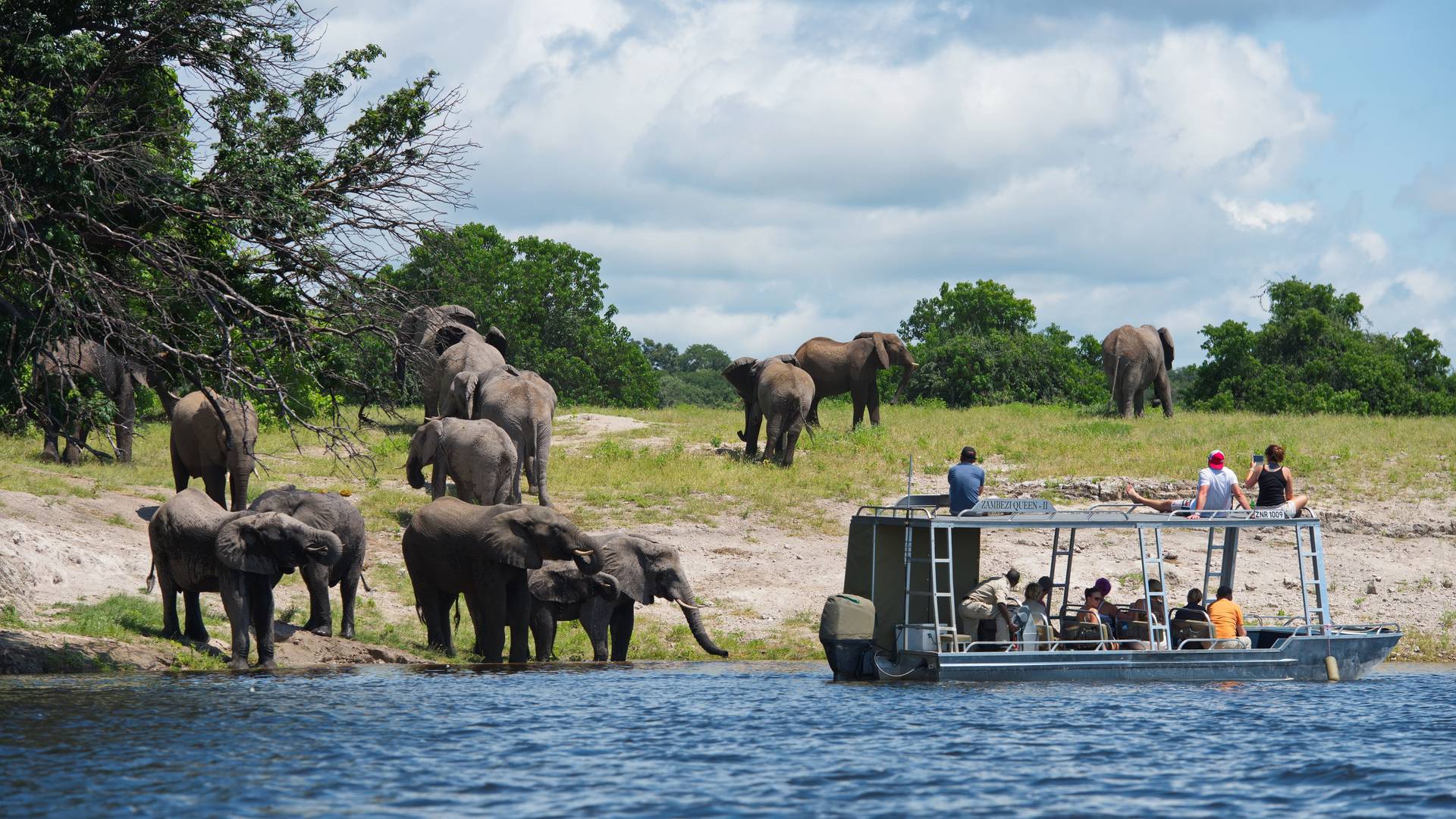 Dieren spotten vanaf het water