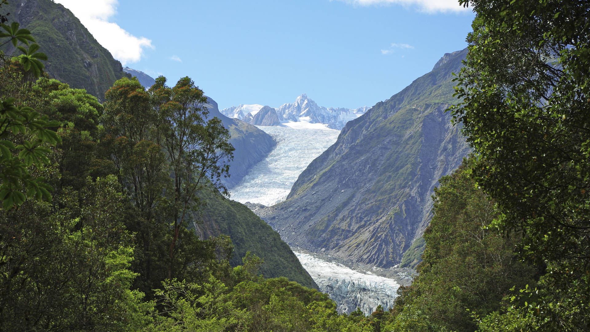 Franz Josef Glacier