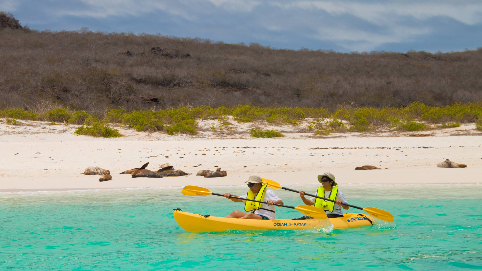 Kajakken rondom de Galapagos